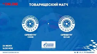 Оренбург (синие) - Оренбург (белые)