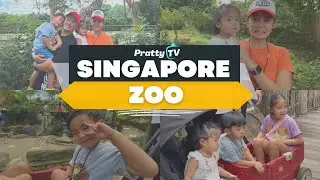 Singapore Zoo with The Pratties | John Prats Pratty TV