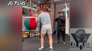 El Poder De Los Golpes del CANELO 🇲🇽🥊👑