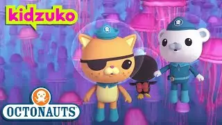 ​@Octonauts - 🛟 Surrounded By Jellyfish 🎐 | Marathon | @OctonautsandFriends