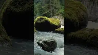 Красота природы Горного Алтая