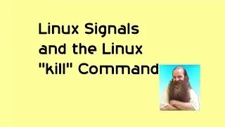 Linux Signals and the Linux kill Command