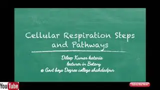 Cellular Respiration  Pathways and steps , lecture  in urdu/hindi,