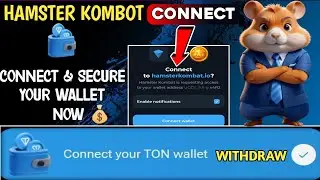 How To  Connect TON  Wallet in Hamster Kombat in Pakistan