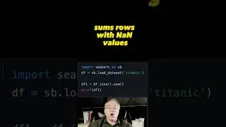 Count number of rows with NaNs in Pandas DataFrame 🐼 