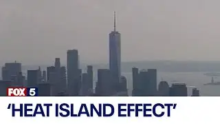 Heat island effect bakes NYC neighborhoods