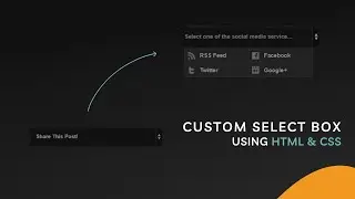 Custom Select Box - Using HTML & CSS | Codexbaba