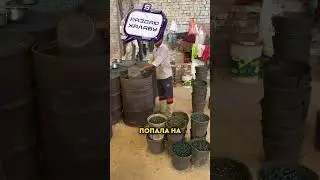 Деньги из бесплатного стекла 