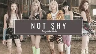 「COLLAB」 ITZY - Not Shy