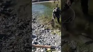 Случай на рыбалке!))) Fishing 🎣