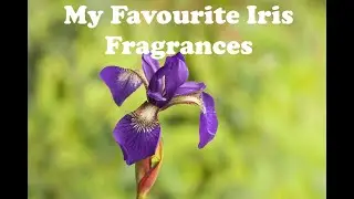 My Favourite Iris Fragrances