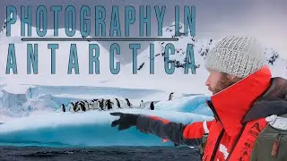 My Photography Expedition to Antarctica