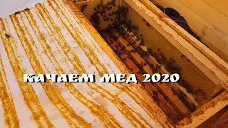 КАЧАЕМ МЕД 2020 С ОТЦОМ В ДЕРЕВНЕ