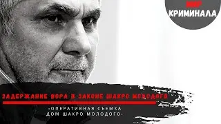 Момент задержания вора в законе Шакро Молодого | Оперативная съемка | Дом Шакро Молодого.