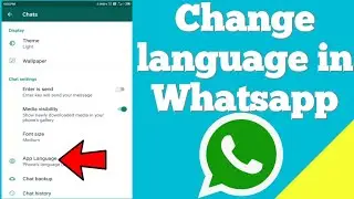 How to change language in WhatsApp ?