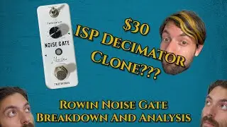 A low key ISP Decimator Clone??? Rowin Noise Gate Analysis and Breakdown | The Q Show ep. 22