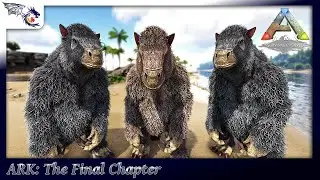 We Need Boss Level Megatherium Saddles [ARK HARDCORE] | ARK: The Final Chapter #32