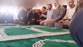 Тулки на даргинском