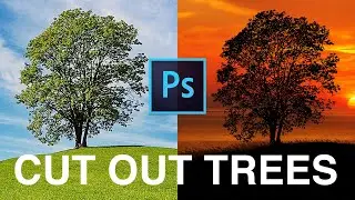 HOW TO CHANGE BACKGROUND AND CUT OUT TREES - EASY TUTORIAL PHOTOSHOP