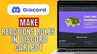 How To Make Reaction Roles In Discord Carl Bot (2024) Easy Guide