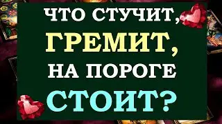 🙏 ЧТО ВАМ НУЖНО ЗНАТЬ ПРЯМО СЕЙЧАС? ЧТО СТУЧИТ, ГРЕМИТ, НА ПОРОГЕ СТОИТ? ⚡ Tarot Diamond Dream Таро