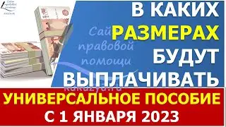 Размер единого универсального пособия в 2023 году