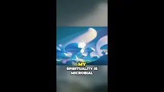 My Spirituality is Microbial - Church of the Microbes?