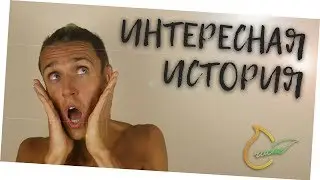 Я ЖЕРТВА! Жалость к себе