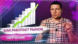 Как работает фондовый рынок. Инвестиции для начинающих.