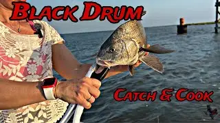 Black Drum Catch and Cook: 10 Minute Recipe