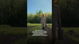 История про то как я чуть не рассталась с жизнью #shorts