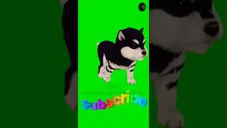 Various gestures of cute black doggy 🐶 #short #green #greenscreenvideo #animation