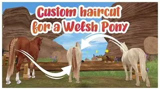 Welsh Pony is getting brand new haircut from Selle Français - Star Stable