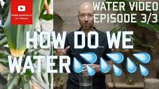 How do we water? Episode 3 of 3💦