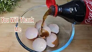 Mix Coca-Cola with egg shell 😱  You will not believe the incredible result