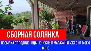 🔴СБОРНАЯ СОЛЯНКА 🔴ПОСЫЛКА ОТ ПОДПИСЧИЦЫ, КНИЖНЫЙ МАГАЗИН И УЖАС НА МОИХ ОКНАХ