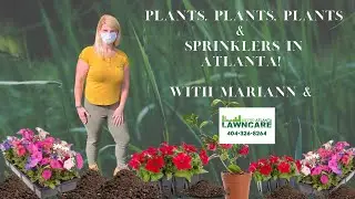 Atlanta Lawn Care - Plating, Mulch & Sprinkler Installation