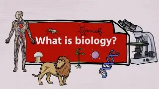 Biology, Life and the Characteristics of Life-Leaving Cert Biology