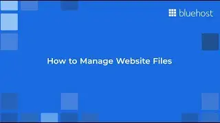 Mastering Website File Management: Essential Techniques and Tips