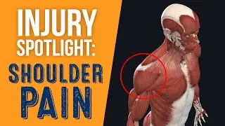 Injury Spotlight: Shoulder Pain