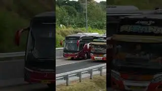 Bus Jetbus 5 Single Glass Super Executive 2-1 New Shantika #busindonesia #bus #indonesianbus