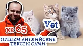 Пишем английские тексты сами Часть 65 Vet Профессия ветеринара перевод английского текста