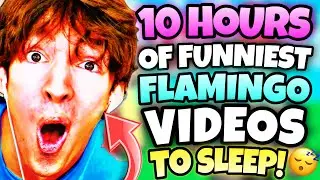 *10 HOURS* OF “FUNNIEST” FLAMINGO VIDEOS! (ROBLOX/MARATHON)