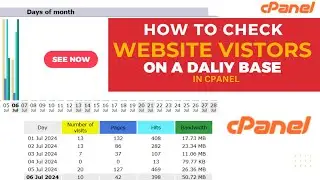 How to Check  Website Visitors on Daily Base in Cpanel ?