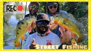 Peacock Bass Street fishing in Miami with Monster  Mike and Yuri Grisendi