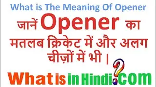 What is the meaning of Opener in cricket| Opener ka matlab kya hota hai