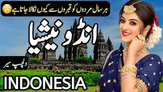 Travel to Indonesia | Full History Documentary about Indonesia in Urdu & Hindi