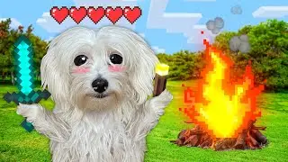 PERRO PASA 24 HORAS EN MINECRAFT EN LA VIDA REAL !!