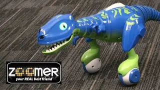 Zoomer Dino Jester from Spin Master