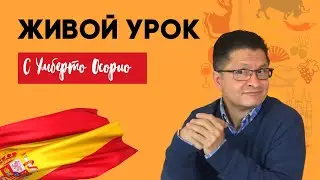 Занятие с Умберто Осорио | Живой урок | Испанский бесплатно